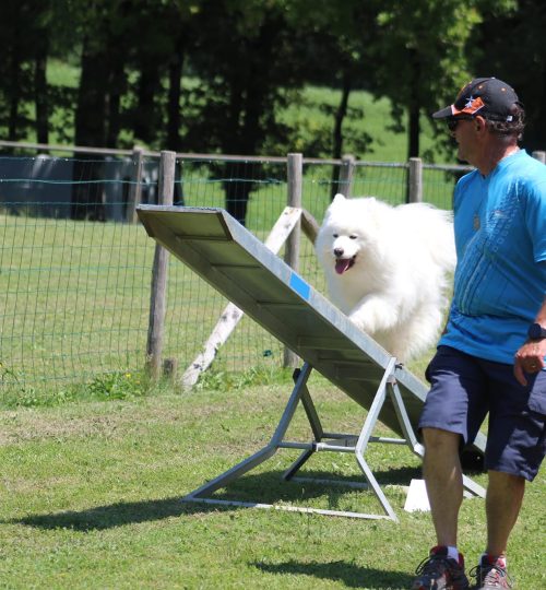 355858877_1931029260596262_1047580693134372333_n