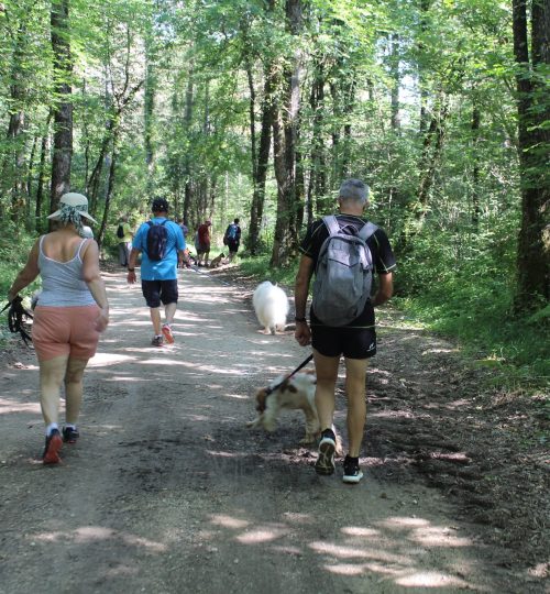 356084923_1931025837263271_977424806460023243_n