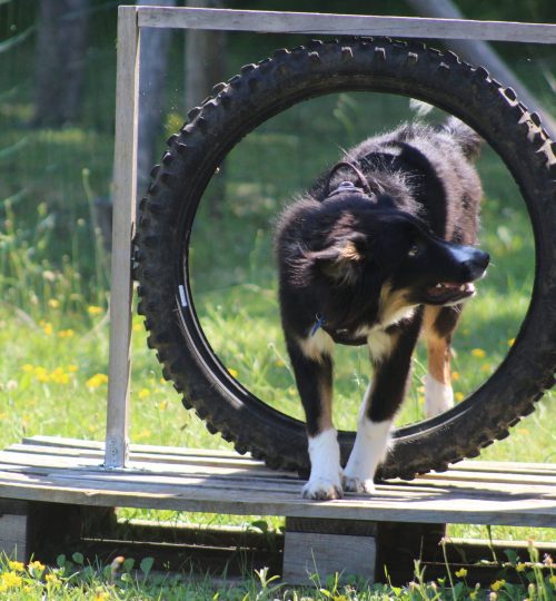 356223039_1931037423928779_6491798031824169830_n