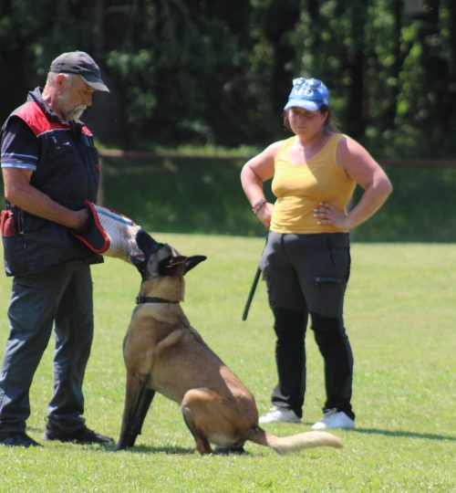 356235935_1931036650595523_8197352848065279135_n