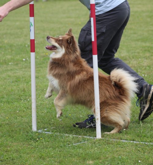 galerie_agility (1)