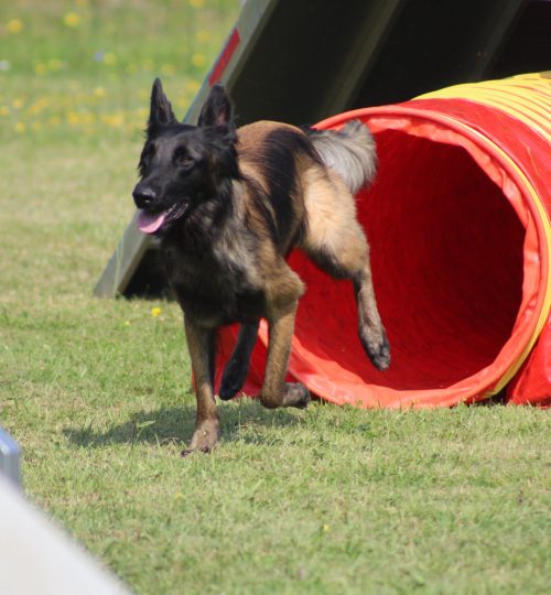 galerie_agility (2)
