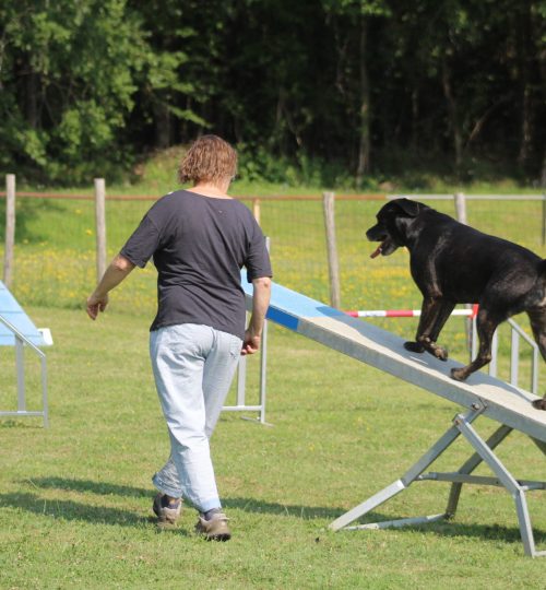 galerie_agility (3)