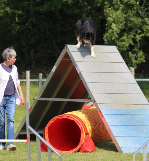 galerie_agility (4)