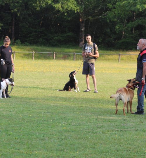 galerie_education (1)